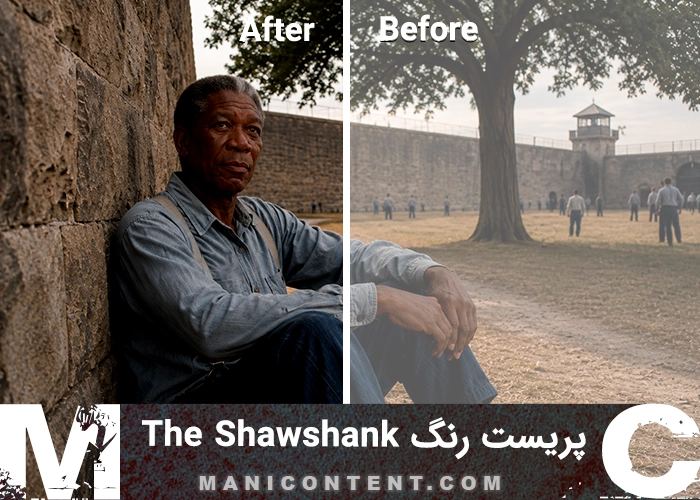 رنگ سینمایی گرم Morgan Freeman Shawshank Redemption Warm Cinema Premiere pro